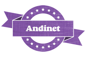 Andinet royal logo