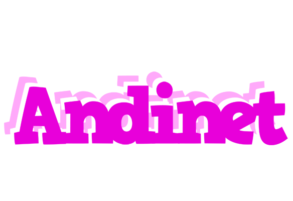 Andinet rumba logo