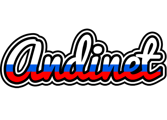 Andinet russia logo