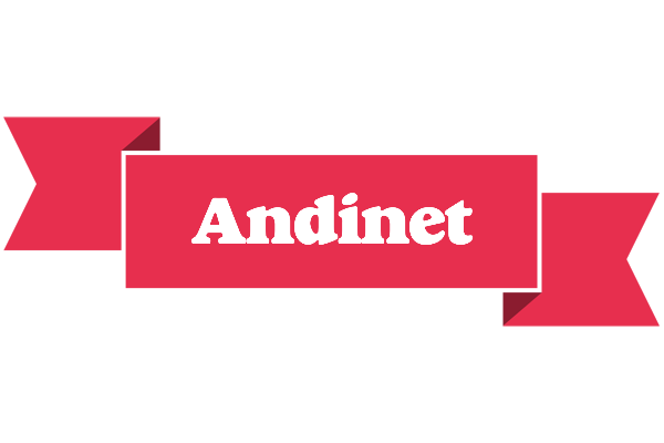 Andinet sale logo