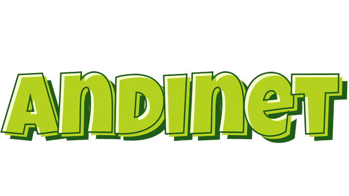 Andinet summer logo