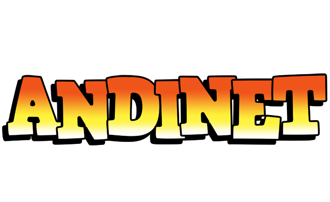 Andinet sunset logo