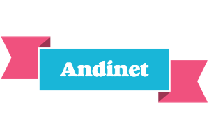 Andinet today logo