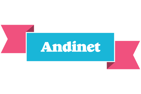 Andinet today logo