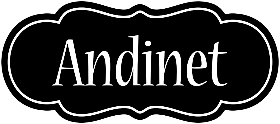 Andinet welcome logo