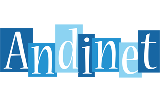 Andinet winter logo