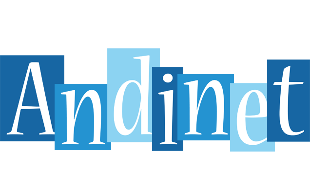 Andinet winter logo