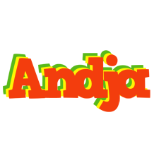 Andja bbq logo