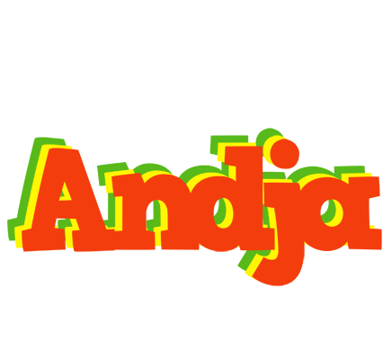 Andja bbq logo