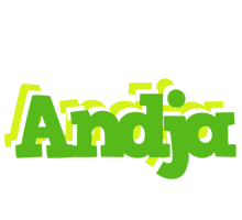 Andja picnic logo
