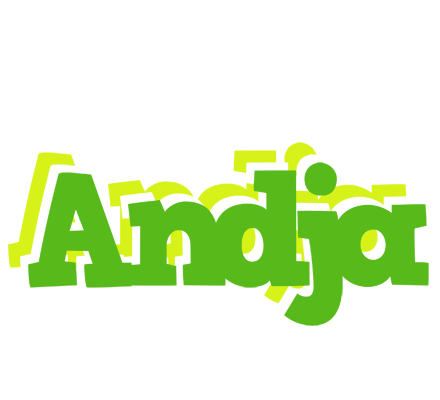 Andja picnic logo