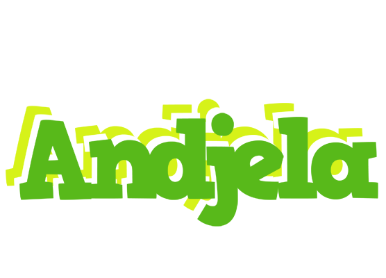 Andjela picnic logo