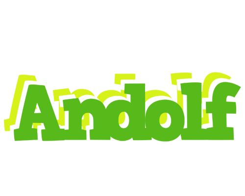 Andolf picnic logo