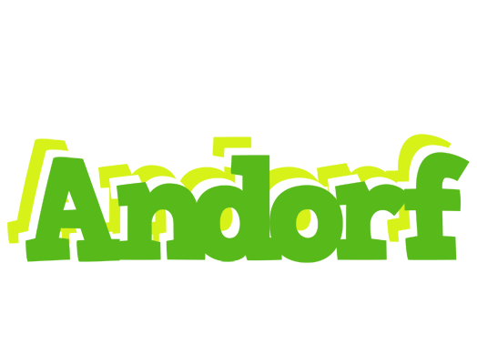 Andorf picnic logo
