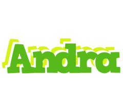 Andra picnic logo