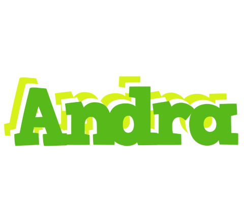 Andra picnic logo
