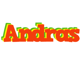 Andras bbq logo