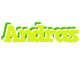 Andras citrus logo
