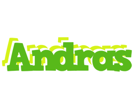 Andras picnic logo