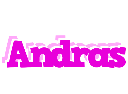 Andras rumba logo