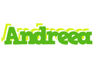 Andreea picnic logo