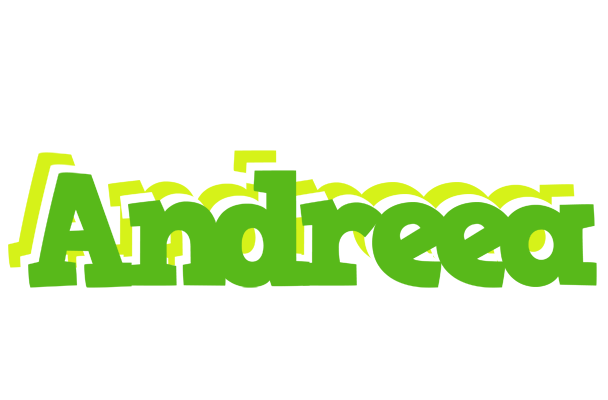 Andreea picnic logo