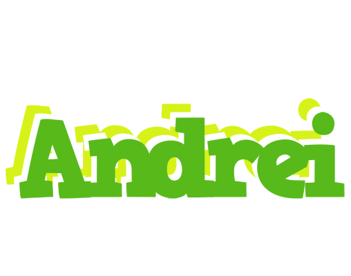 Andrei picnic logo