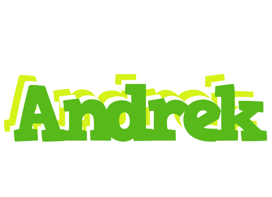 Andrek picnic logo