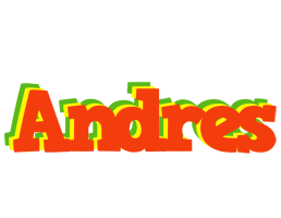 Andres bbq logo