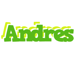 Andres picnic logo