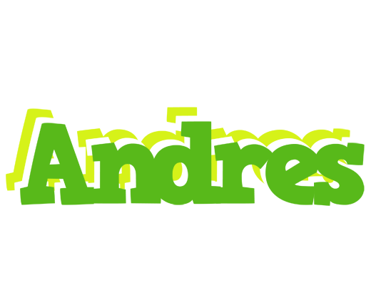 Andres picnic logo