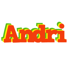Andri bbq logo