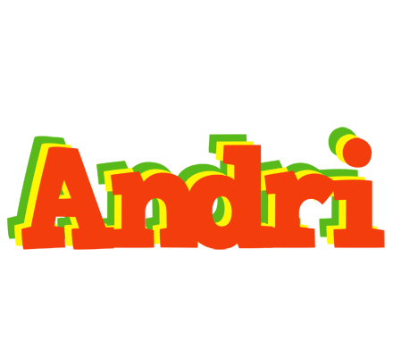Andri bbq logo