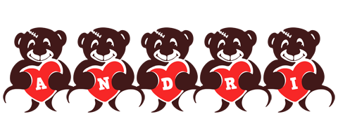 Andri bear logo