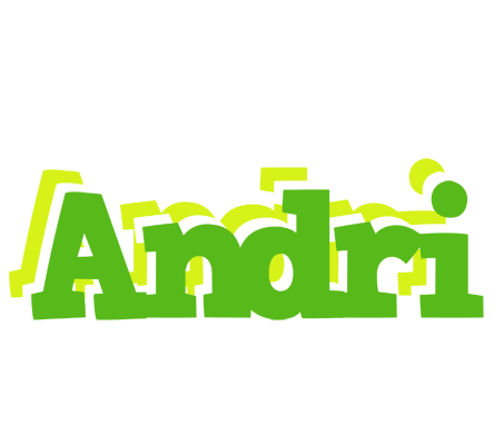 Andri picnic logo