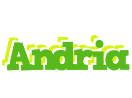 Andria picnic logo