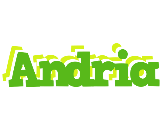 Andria picnic logo