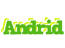 Andrid picnic logo