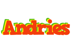 Andries bbq logo