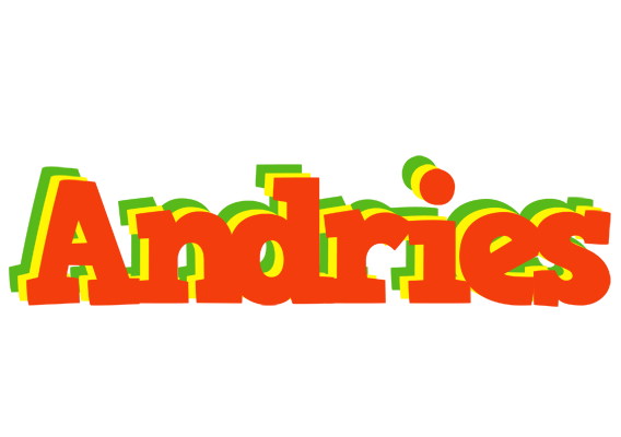 Andries bbq logo