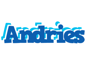 Andries business logo