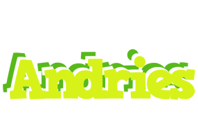 Andries citrus logo