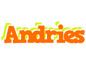 Andries healthy logo