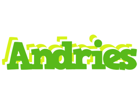 Andries picnic logo