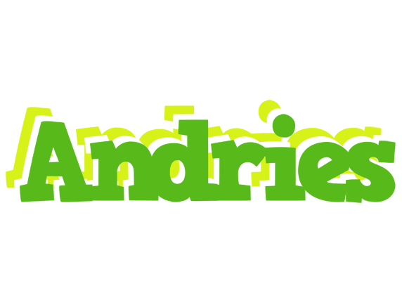 Andries picnic logo