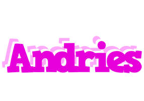 Andries rumba logo