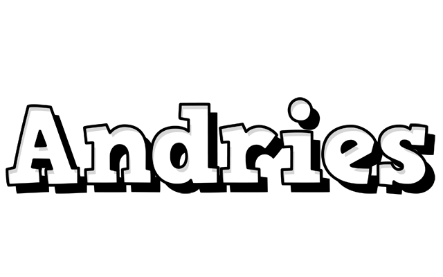 Andries snowing logo