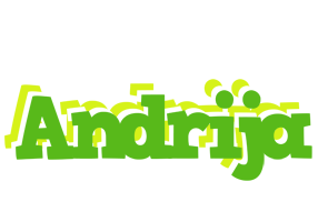 Andrija picnic logo