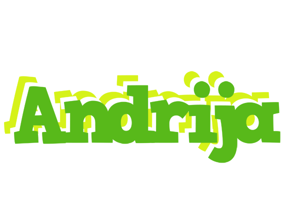 Andrija picnic logo