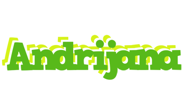 Andrijana picnic logo